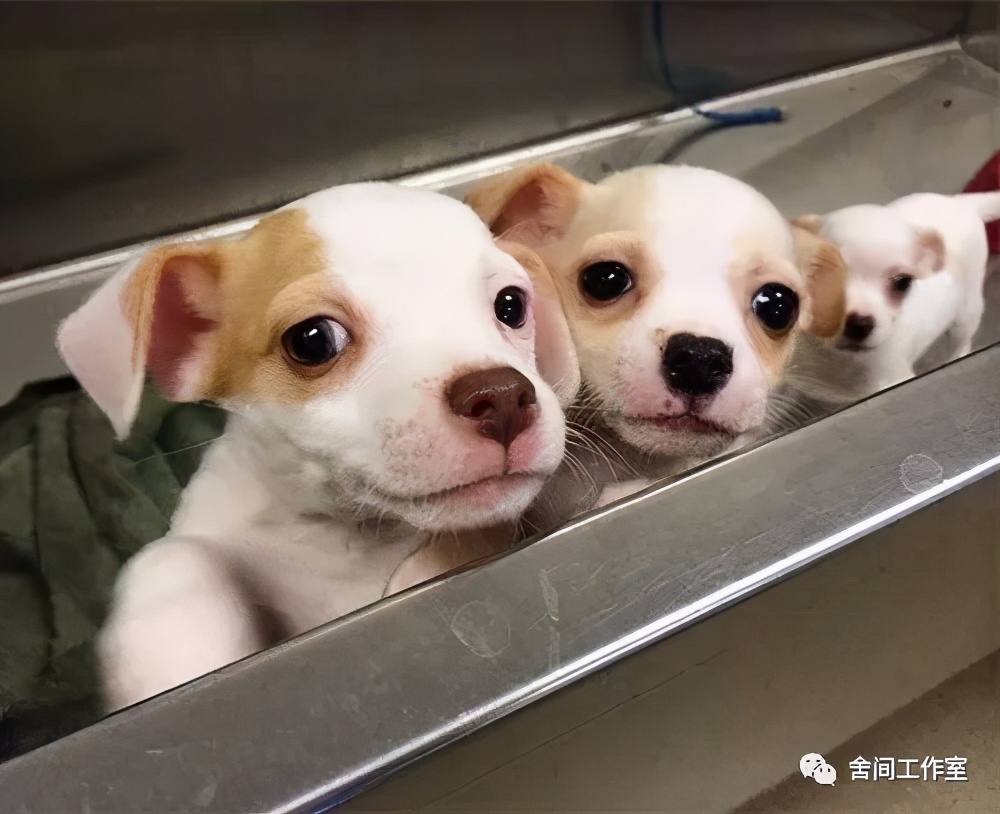 一年级孩子数学考不到100分怎么办,一年级数学孩子总拿不到100分