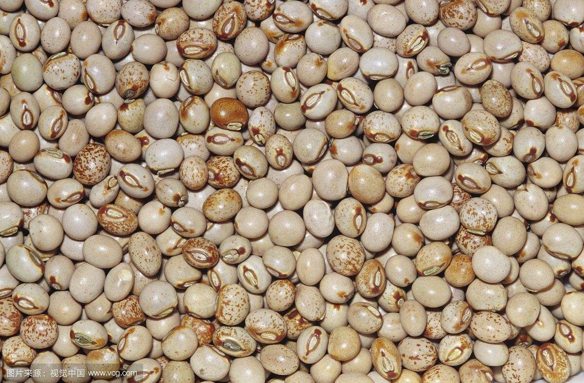 中药材木豆叶有什么用呢,中药材木藤