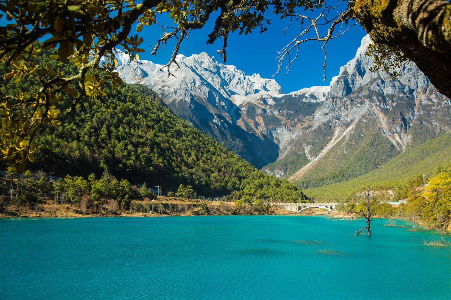 天天去旅行的人经济来源,总在旅行的人怎么挣钱