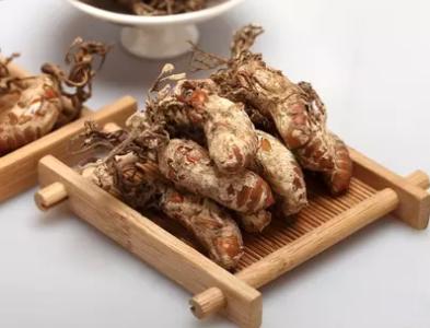 金蝉花中药怎么食用,药食同源话蝉花