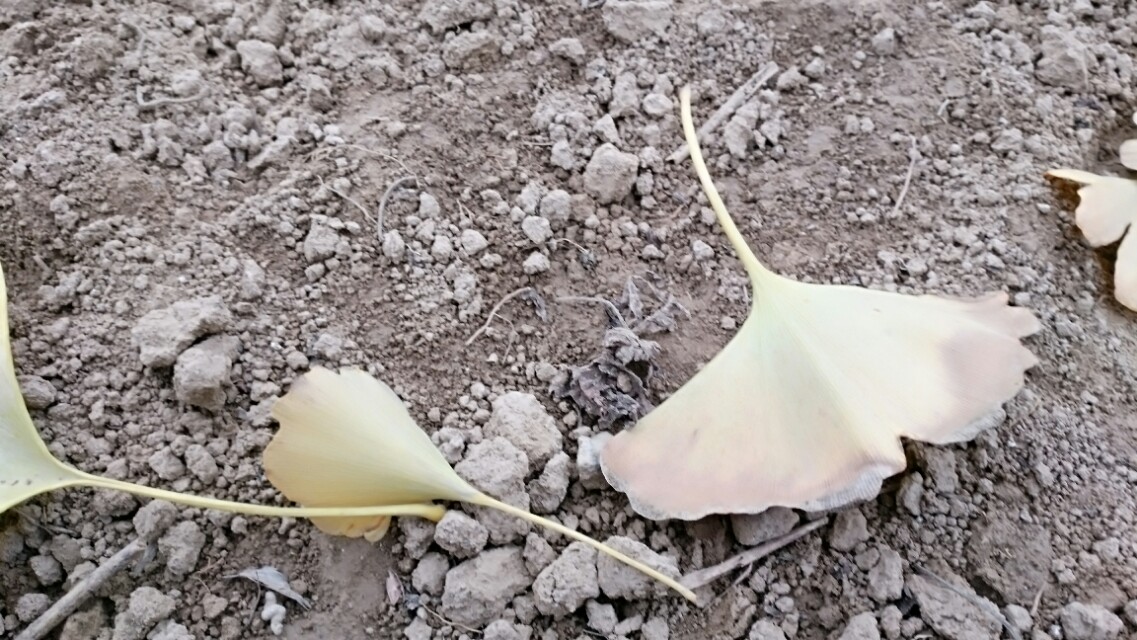 没有所有的感同身受只有冷暖自知,这个世界从来没有真正感同身受