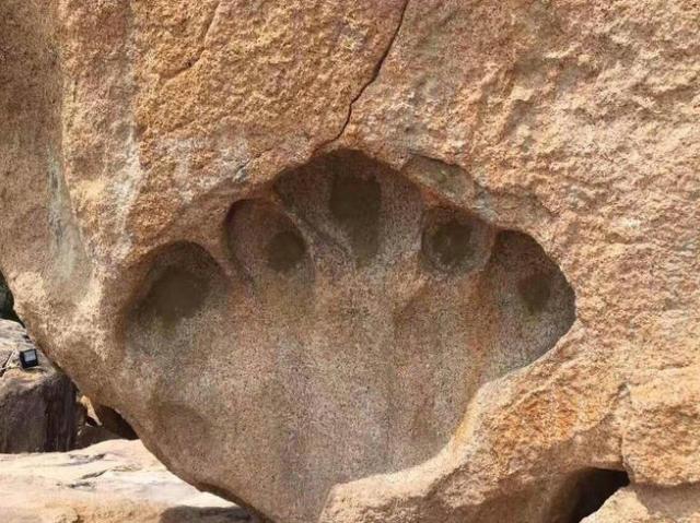 暑假去芽庄旅游攻略,暑假海南岛能去哪游玩