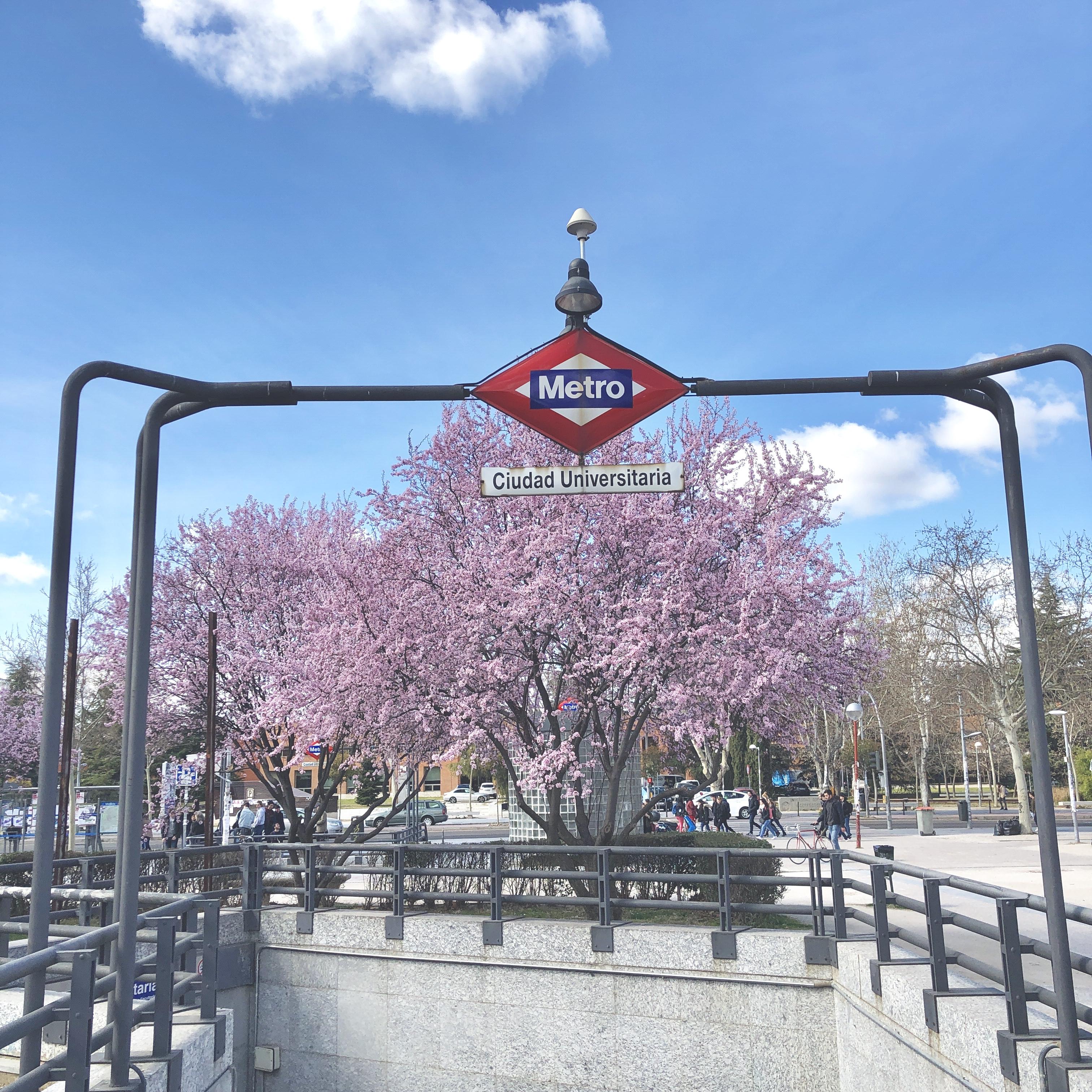 一次性口罩一元十个,一次性口罩一个四块钱