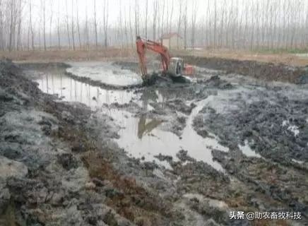 污水池长绿藻怎么办,污水处理池长青苔怎么处理