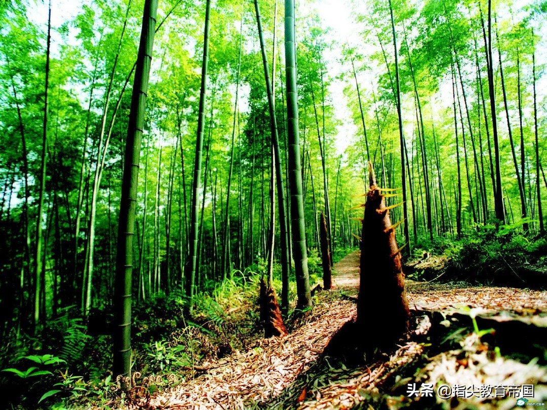 二下语文园地二字词句运用朗读,二下语文园地五字词句运用的视频