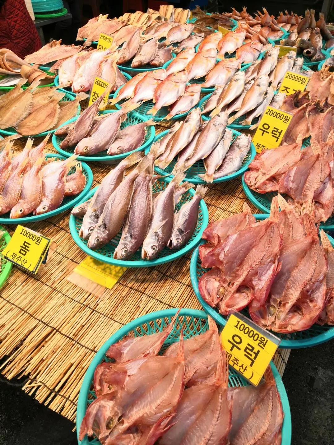 在济州岛发呆的日子,济州岛散心