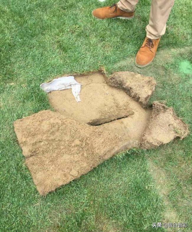 鸟巢可以容下几个足球场,鸟巢为什么不做成足球场