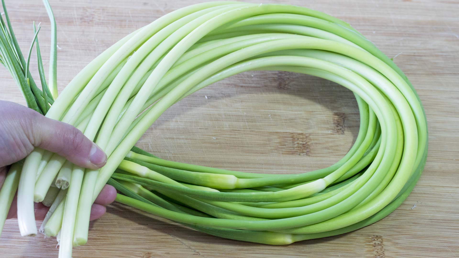 几道家常菜做法简单好吃到不能停,200道家常菜菜谱学会了每天不重样