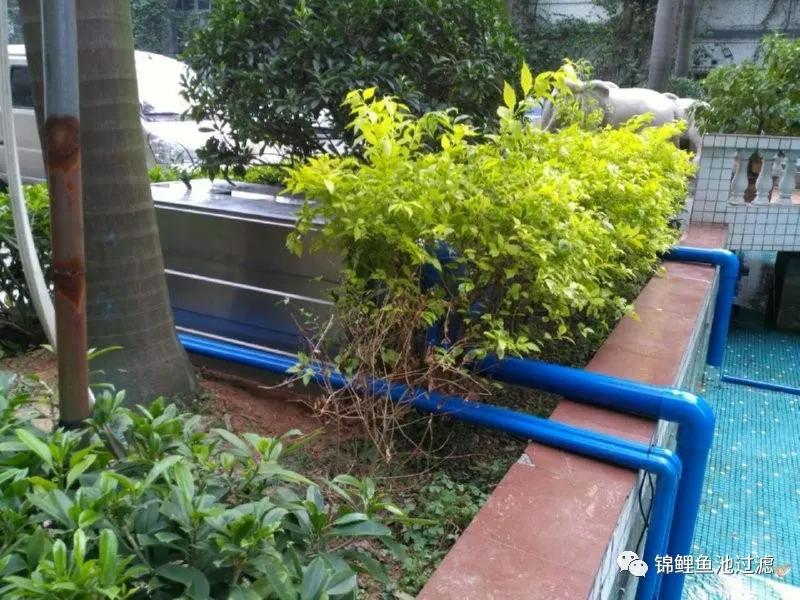 养锦鲤必备的一款鱼池过滤器,锦鲤鱼池过滤器自制方法