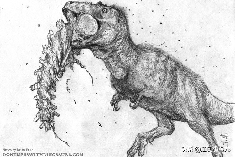 纯银版的霸王龙咬合力到底有多强,霸王龙奔跑的最大咬合力约是多少