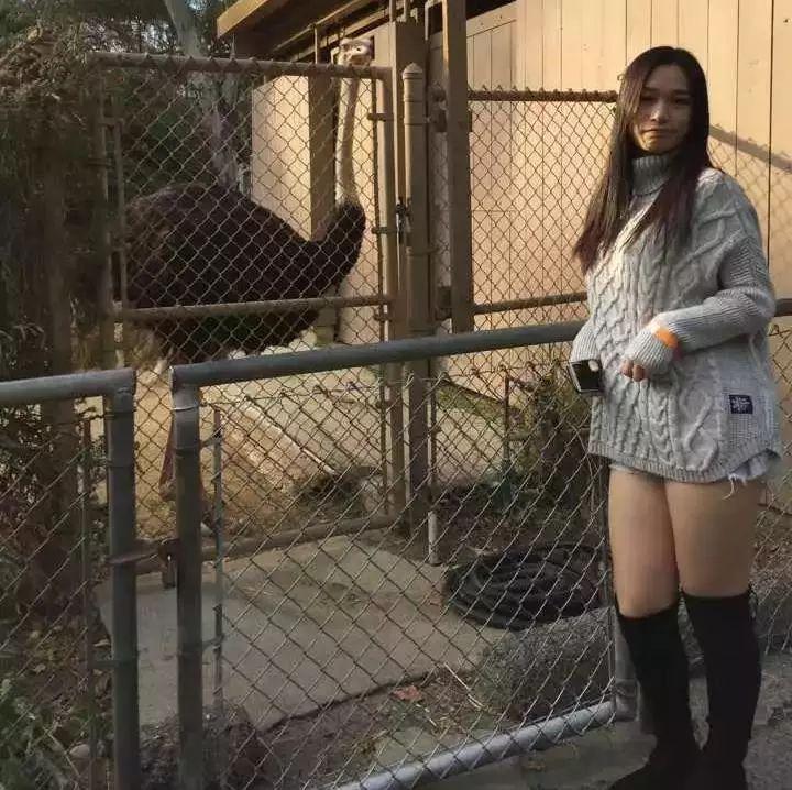 脸配不上身材是什么体验,当长相与身材不符是什么体验