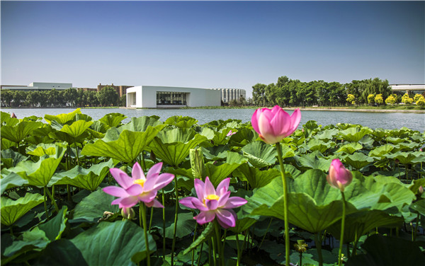 校友会辽宁大学排名十强,沈阳民办大学最新排名