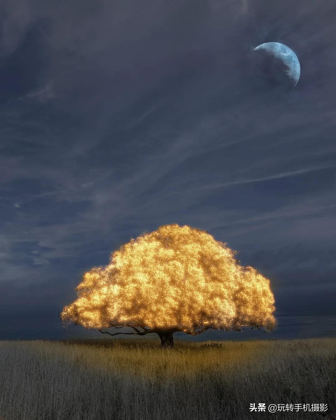 snapseed创意修图,snapseed如何把照片修出翠绿风格