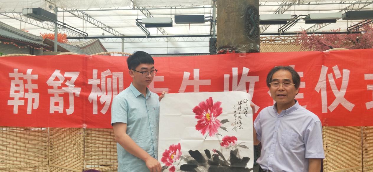 韩舒柳画家,画家韩舒柳