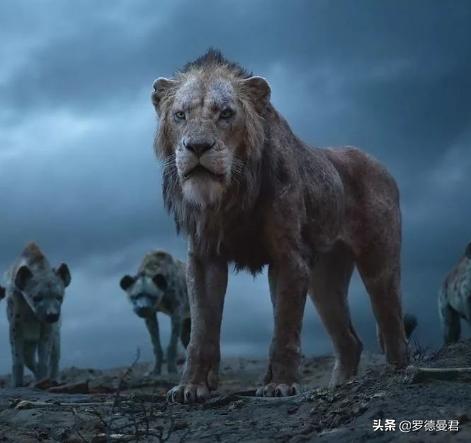 世界足坛十大神级记录,世界足坛十大系列