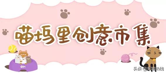 萌化了！十堰茅箭区首届撸猫节，周末约起