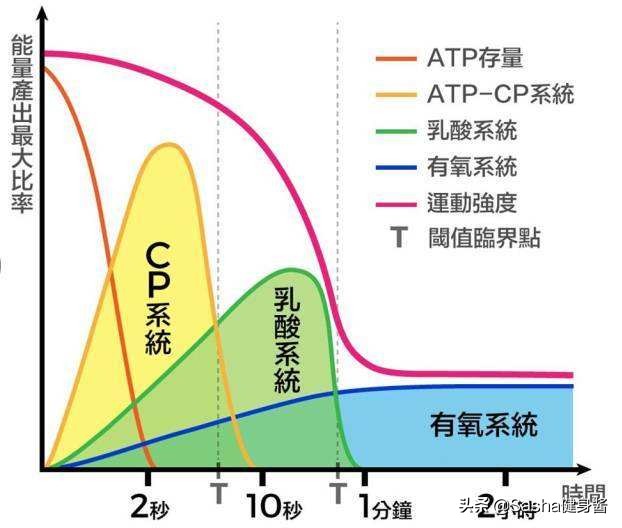 代餐减肥不科学更不健康,代餐减肥如何复食不反弹