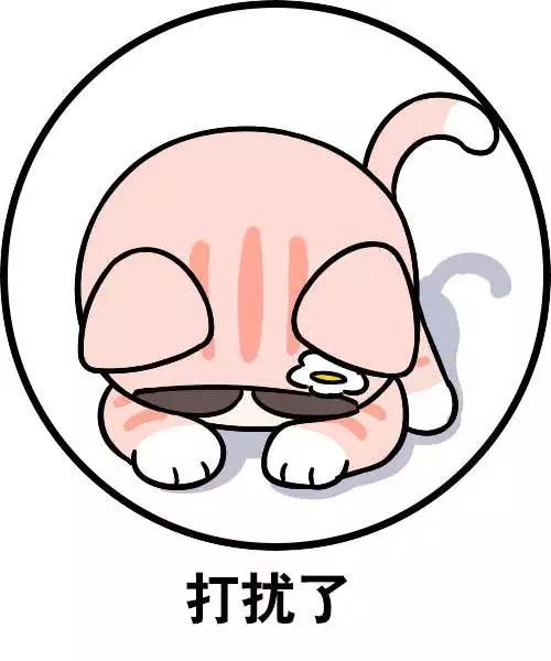 脑白金营销的成功之处,脑洗