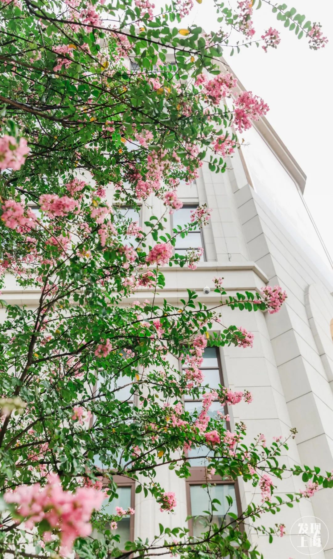 惊艳整个上海,惊艳这条街