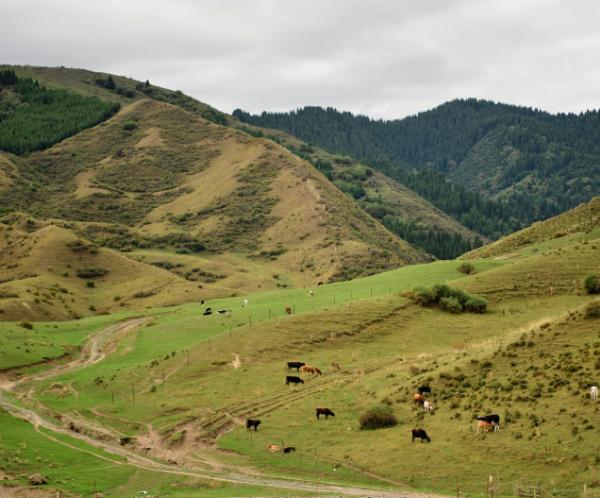 新疆的南疆与北疆的划分,南疆同北疆比较
