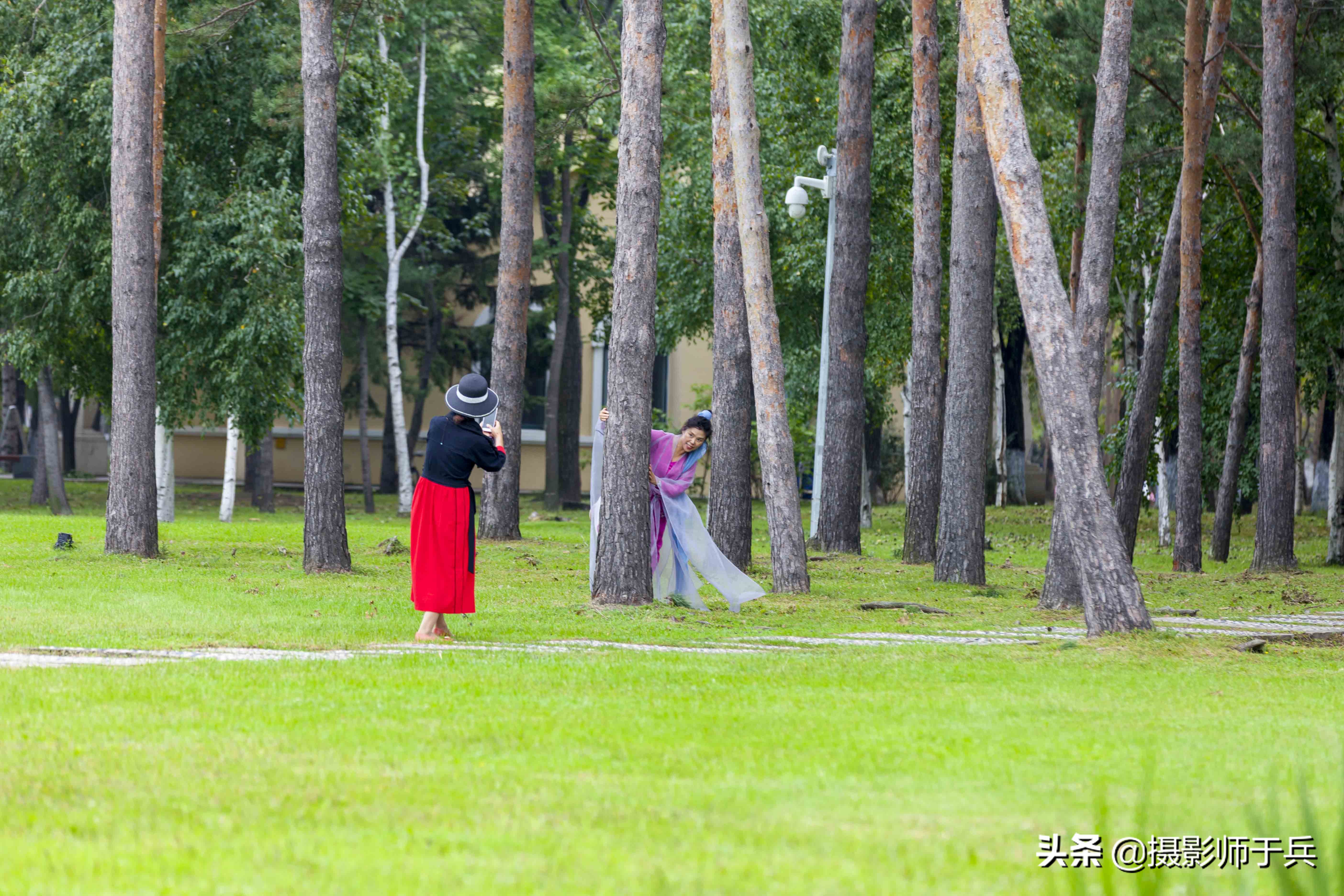 哈尔滨太阳岛美丽的秋色,哈尔滨美丽的太阳岛