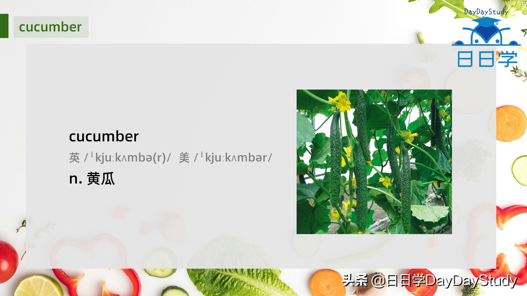 茄子的英语单词快速记忆,茄子单词趣味记忆