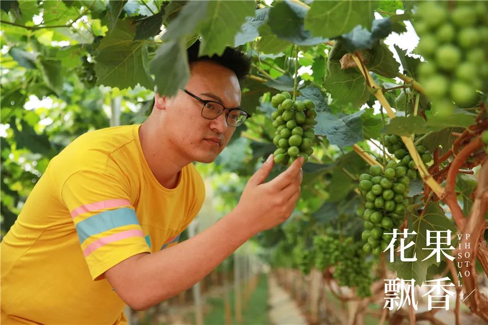 农业到底有多难,农业难果农难吗