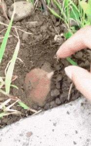 贾玲在沙发上翘二郎腿搞笑图片,贾玲跷二郎腿动图下载