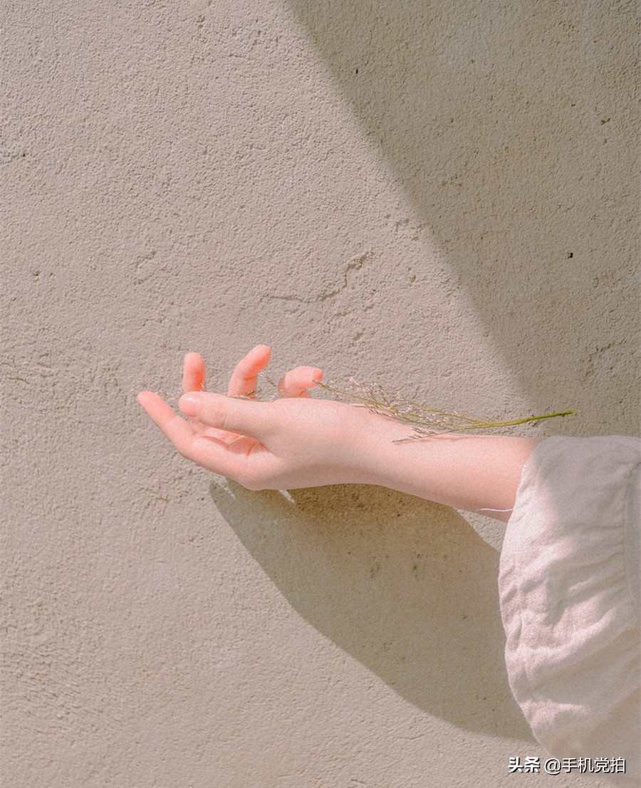 拍美照会变好看吗,拍两张美照