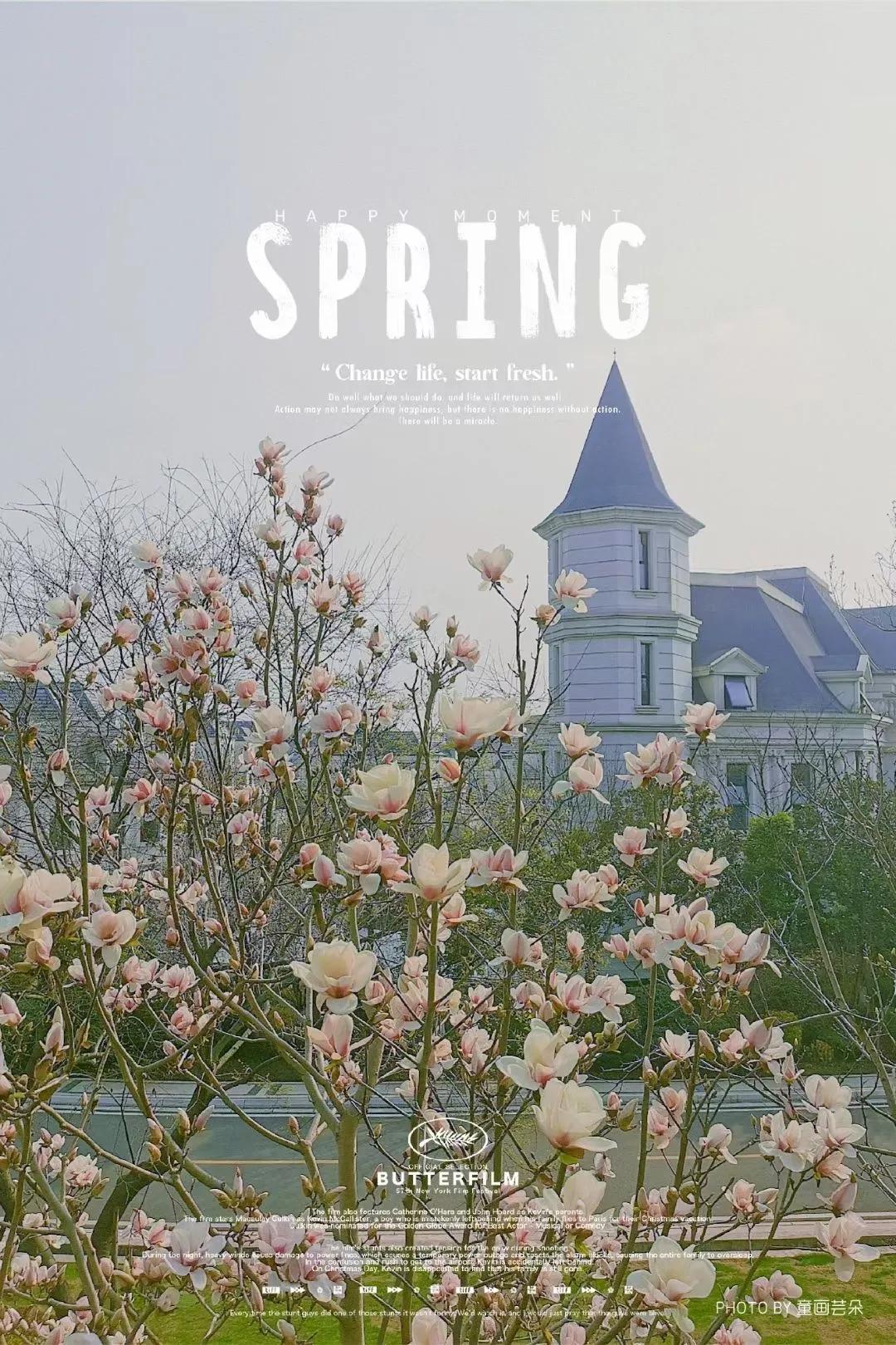 李子柒家乡成旅游景点,李子柒乡愁