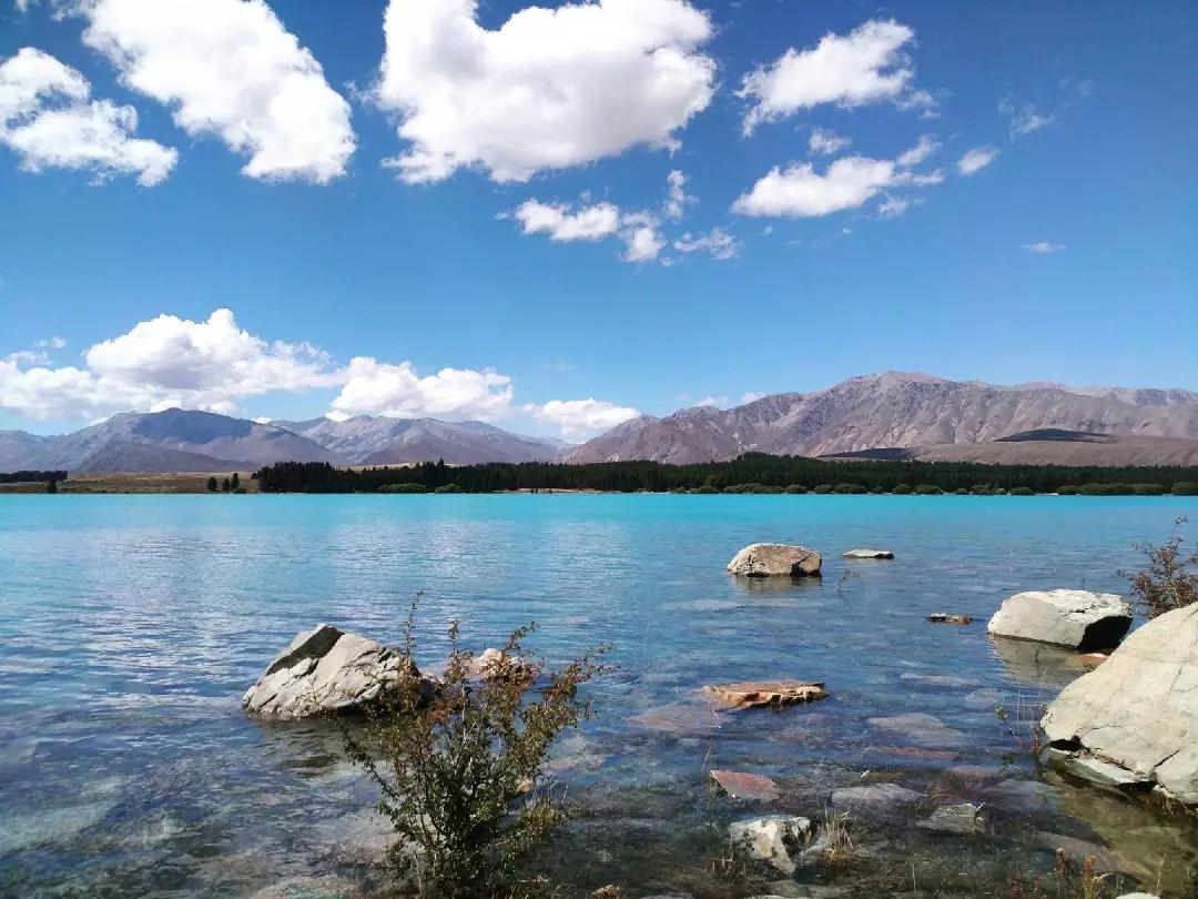 新西兰南太平洋明珠,新西兰太平洋的明珠