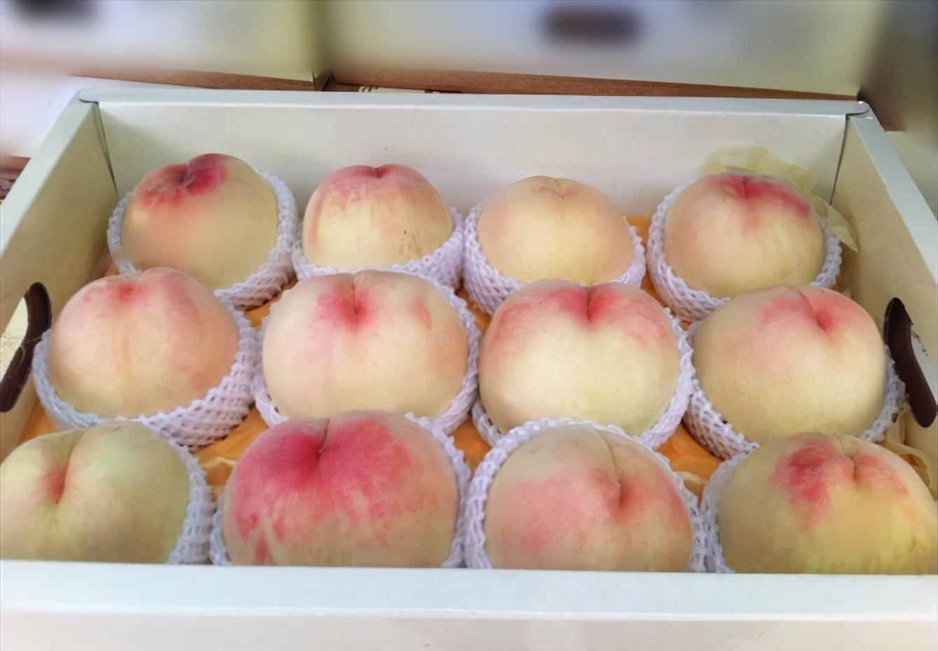 农村大叔种植桃子,农村大叔新发明的种植技术