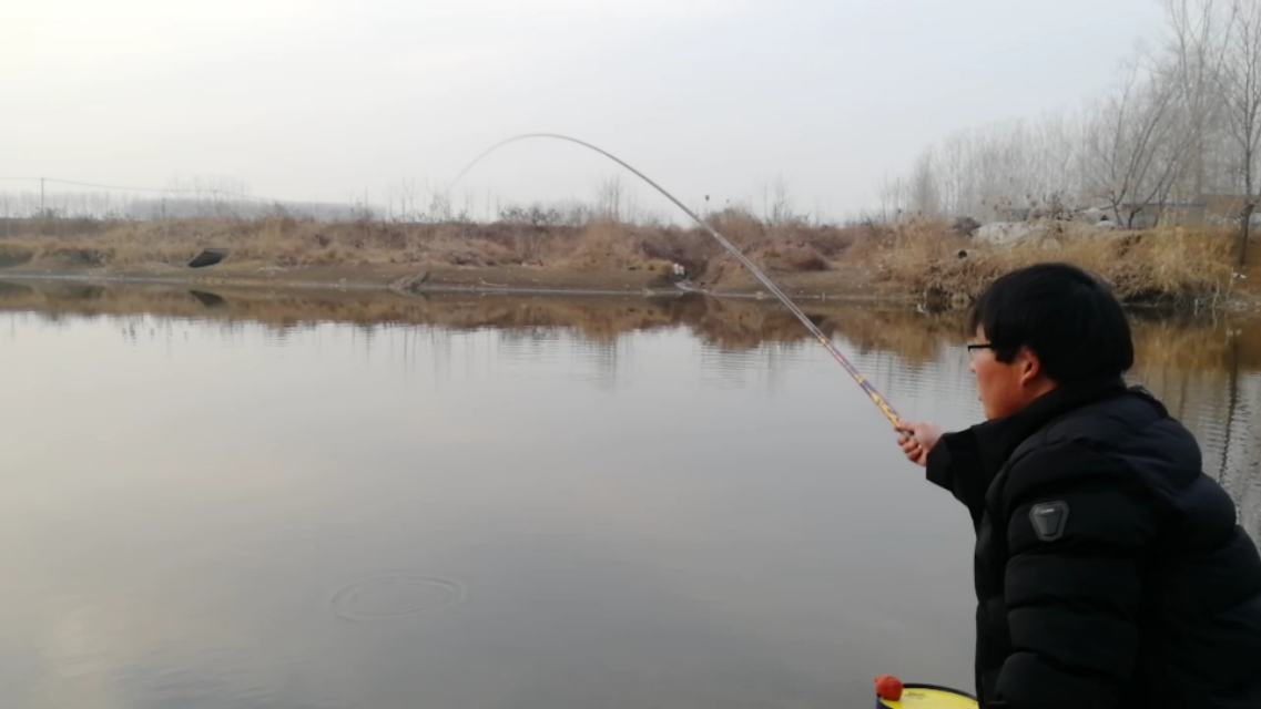 钓鲤技巧,钓鲤的正确方法