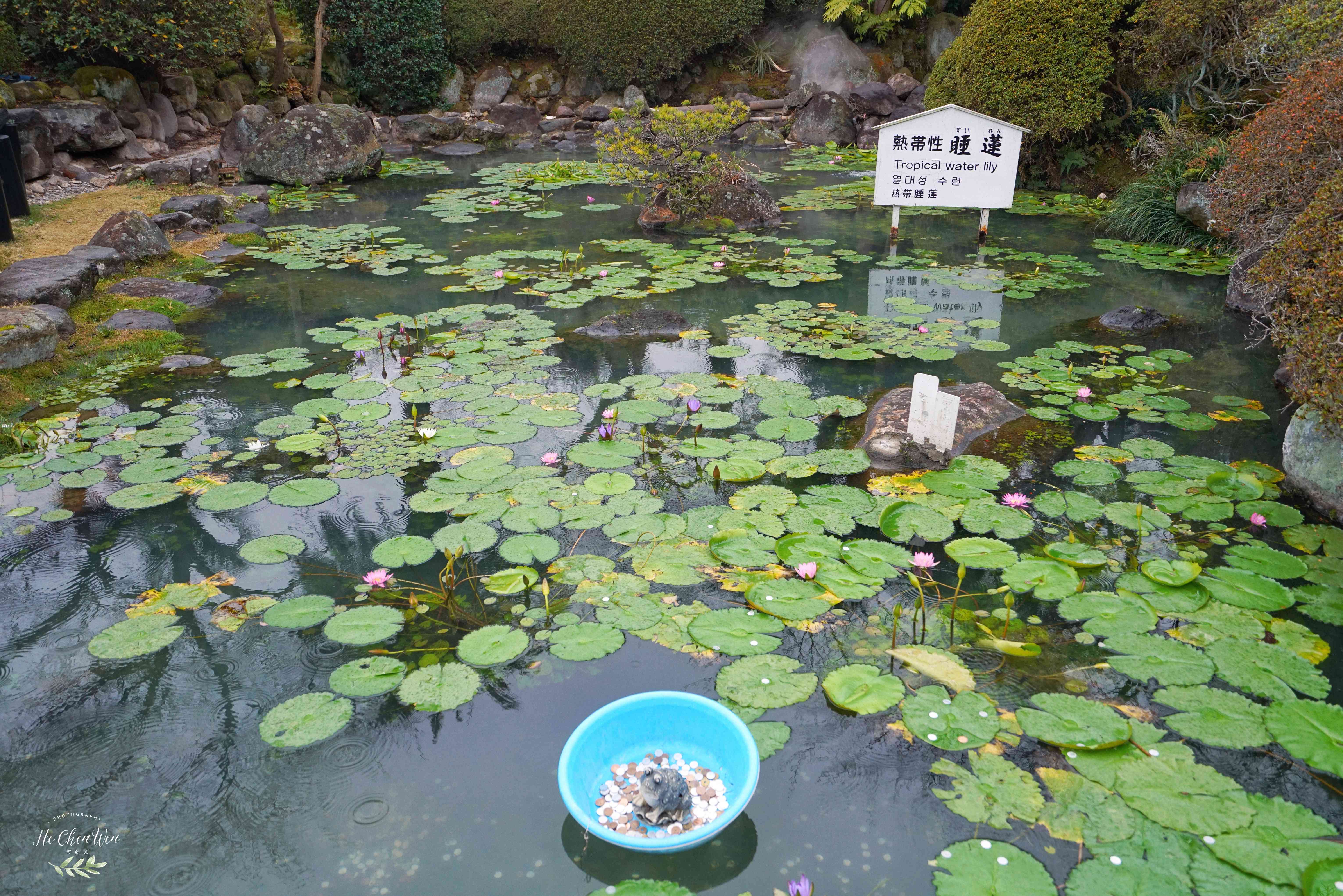 日本地狱温泉是怎么形成的,日本地狱温泉在哪里