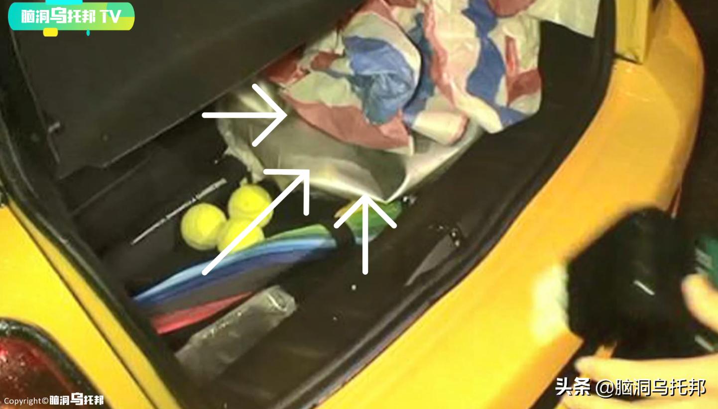 妻女离奇逝世，瑜伽球引出惊人的内幕，温柔教授竟然有两副面孔？