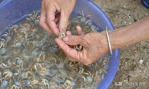 100种不同名字的海鲜,10种常见海鲜大全