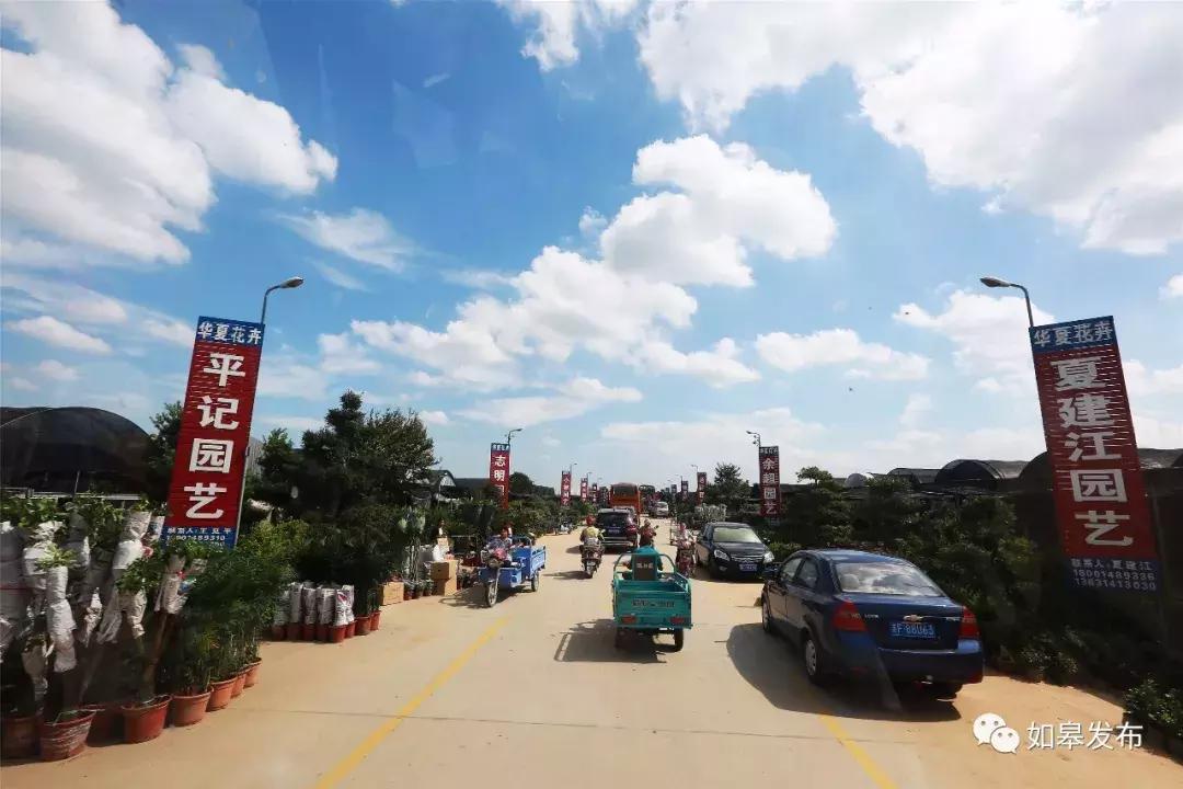 互联网时代下花木市场,互联网农业大数据