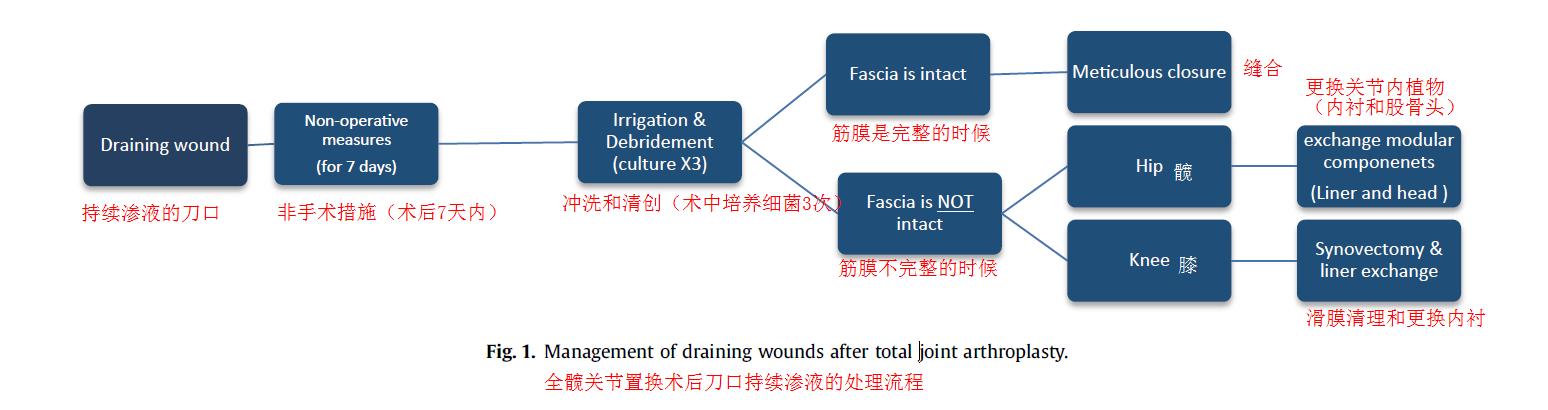 关节置换术后伤口肿胀原因,全髋关节置换五个月了怎么刀口痛