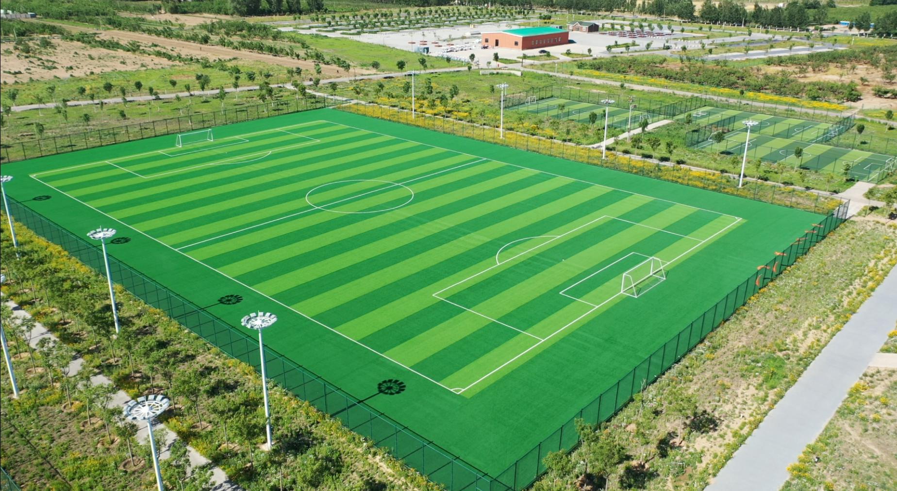 又一大片花海惊艳滹沱河,滹沱河生态景区滹沱花海