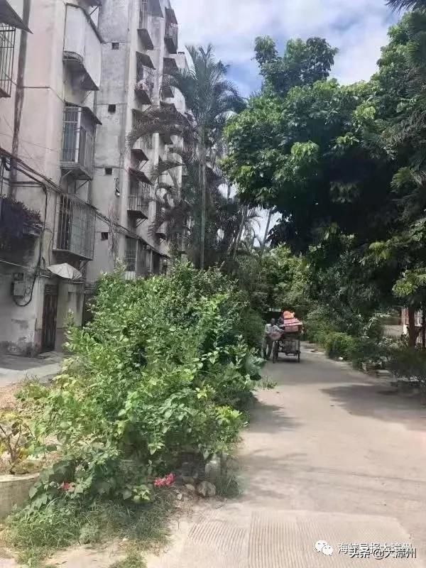 市区教师新村和水仙花园，是脱胎换骨啦！你家老旧小区呢？可留言晒图下