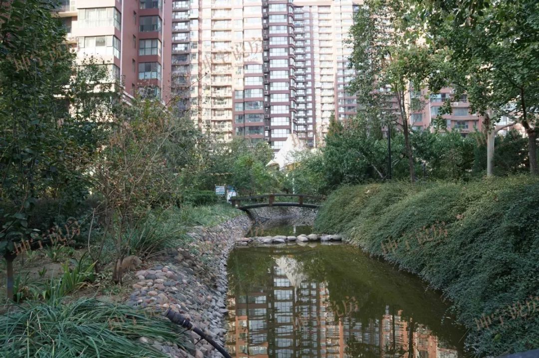 长安区优质学区房,长安区好一点的学区房