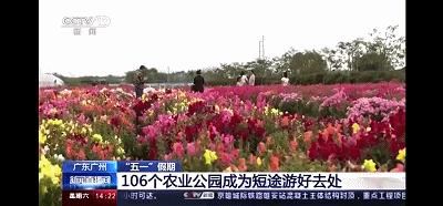 我是真的热啊,从化的天气有多冷