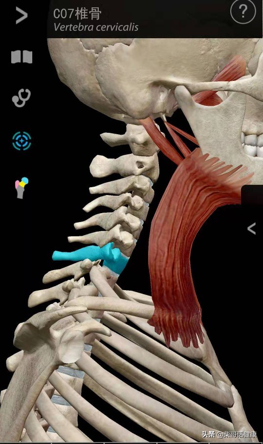 用3D来脊柱体表定位简单多了