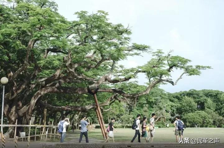 台湾第一城市台北,台湾台北最好的区