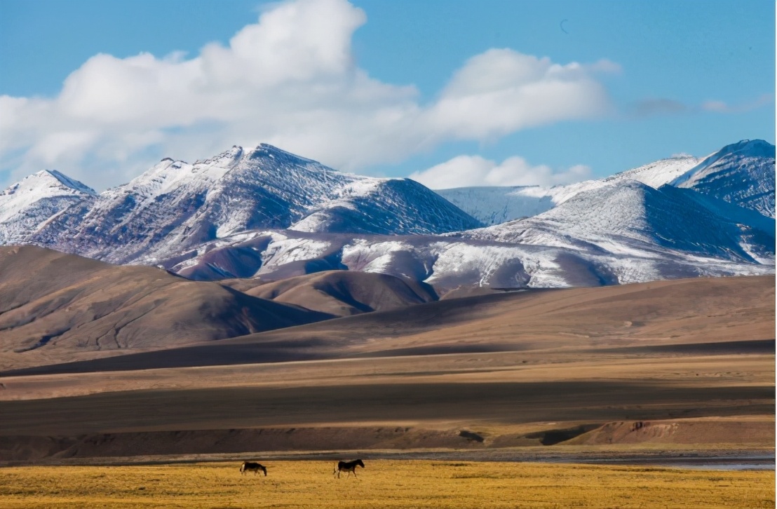 中国四大无人区生命禁区,中国生命禁区四大无人区