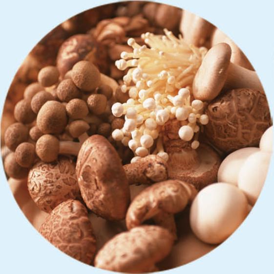 投资兴业沃土蕴藏无限商机——了解一下巴林左旗