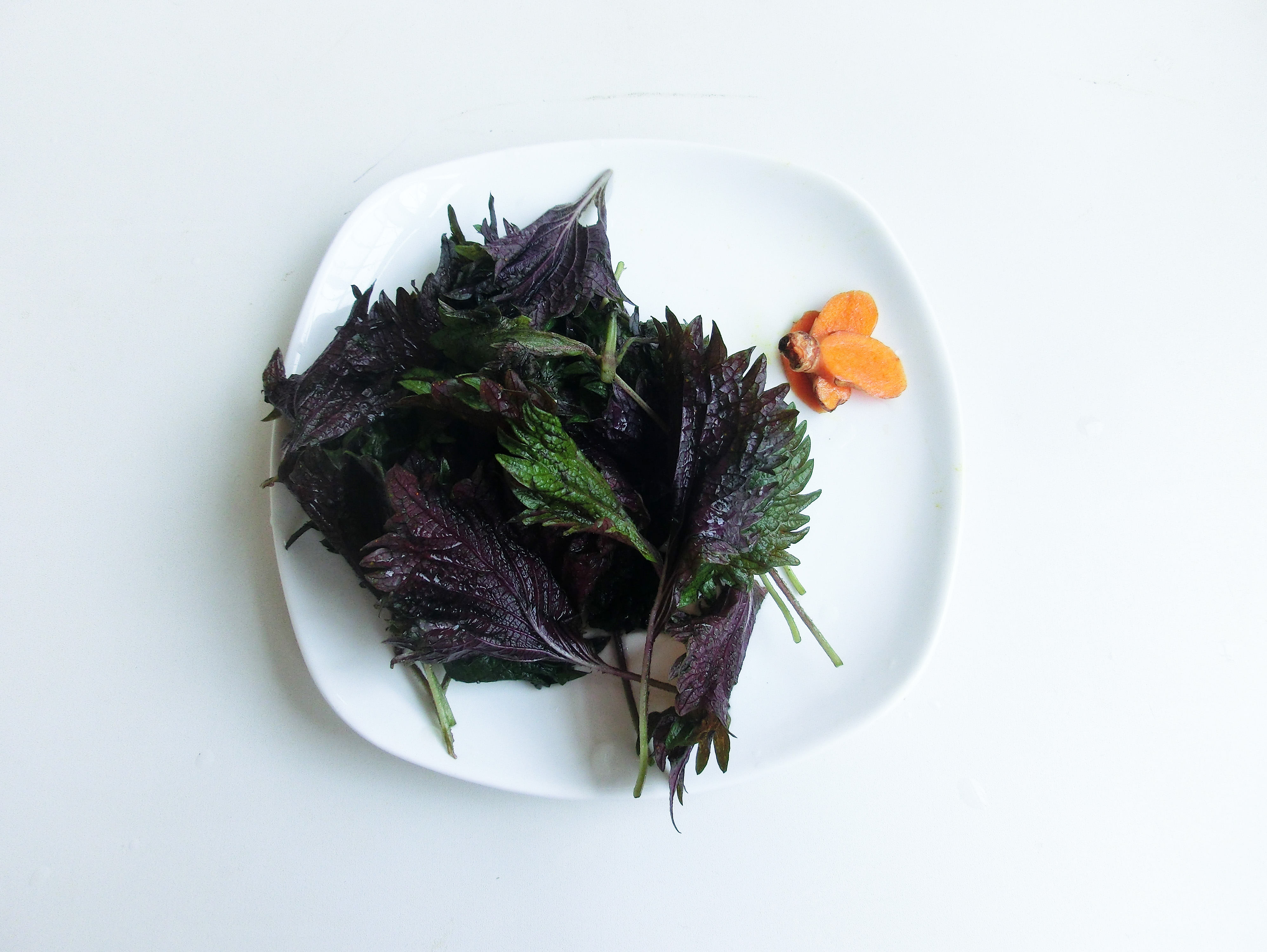 春季上火了吃什么菜降火最快,夏季上火吃的清淡的菜谱