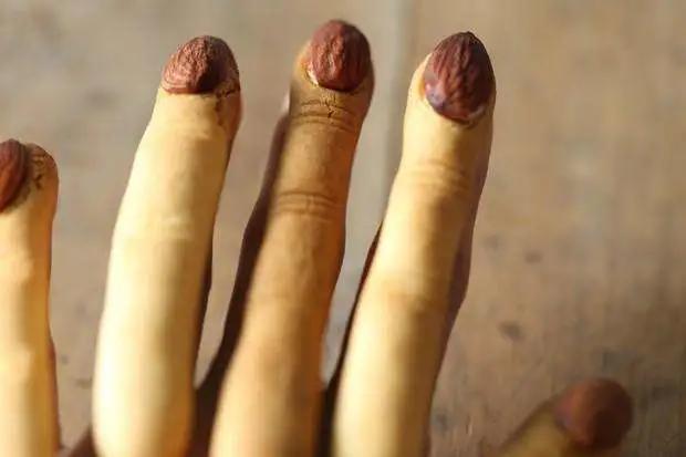 草莓饺子黑暗料理,乌冬面和彩虹饺子