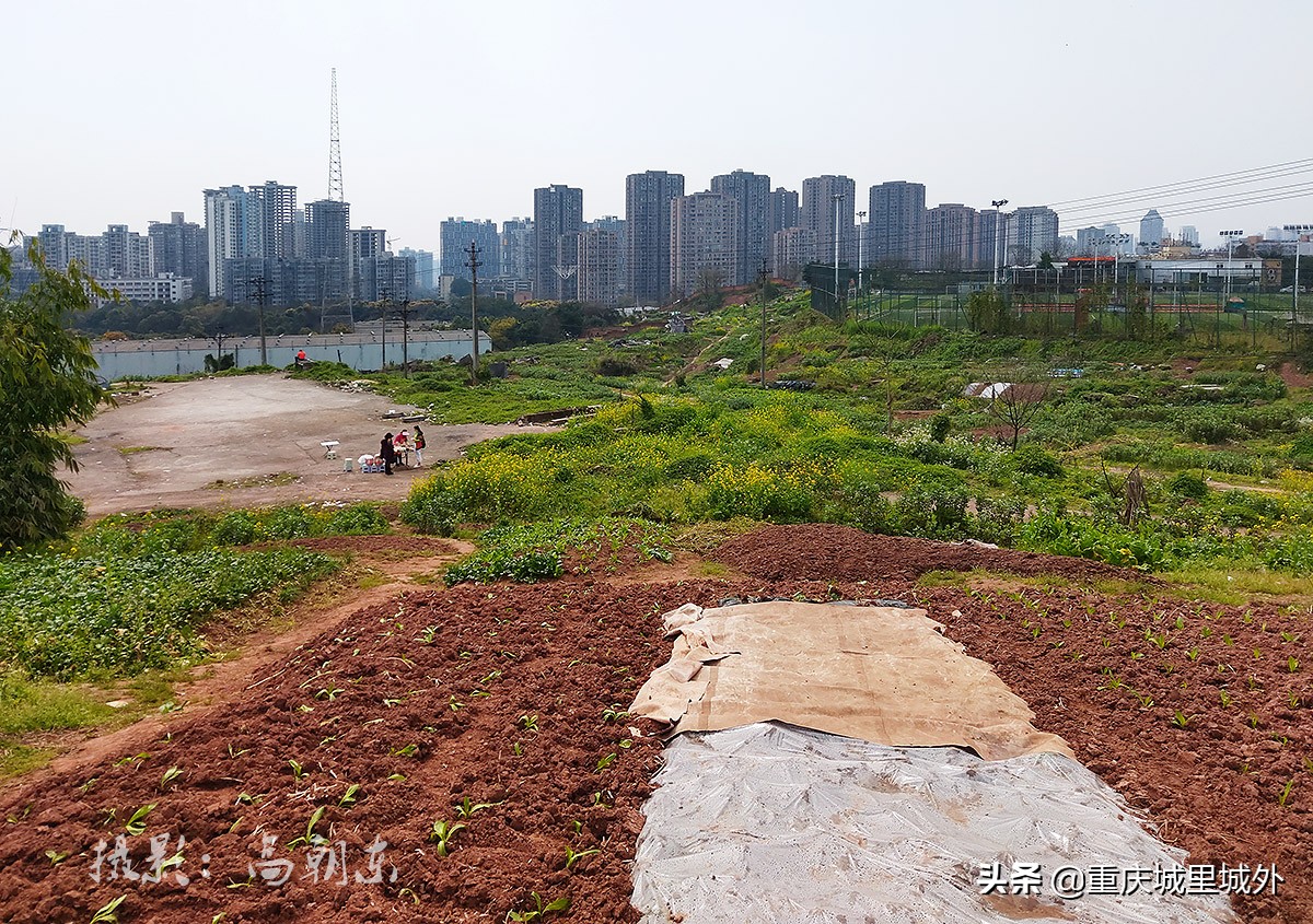 好奇探寻平顶山顶是否“平”，无意发现了渝中区与沙坪坝区的界牌