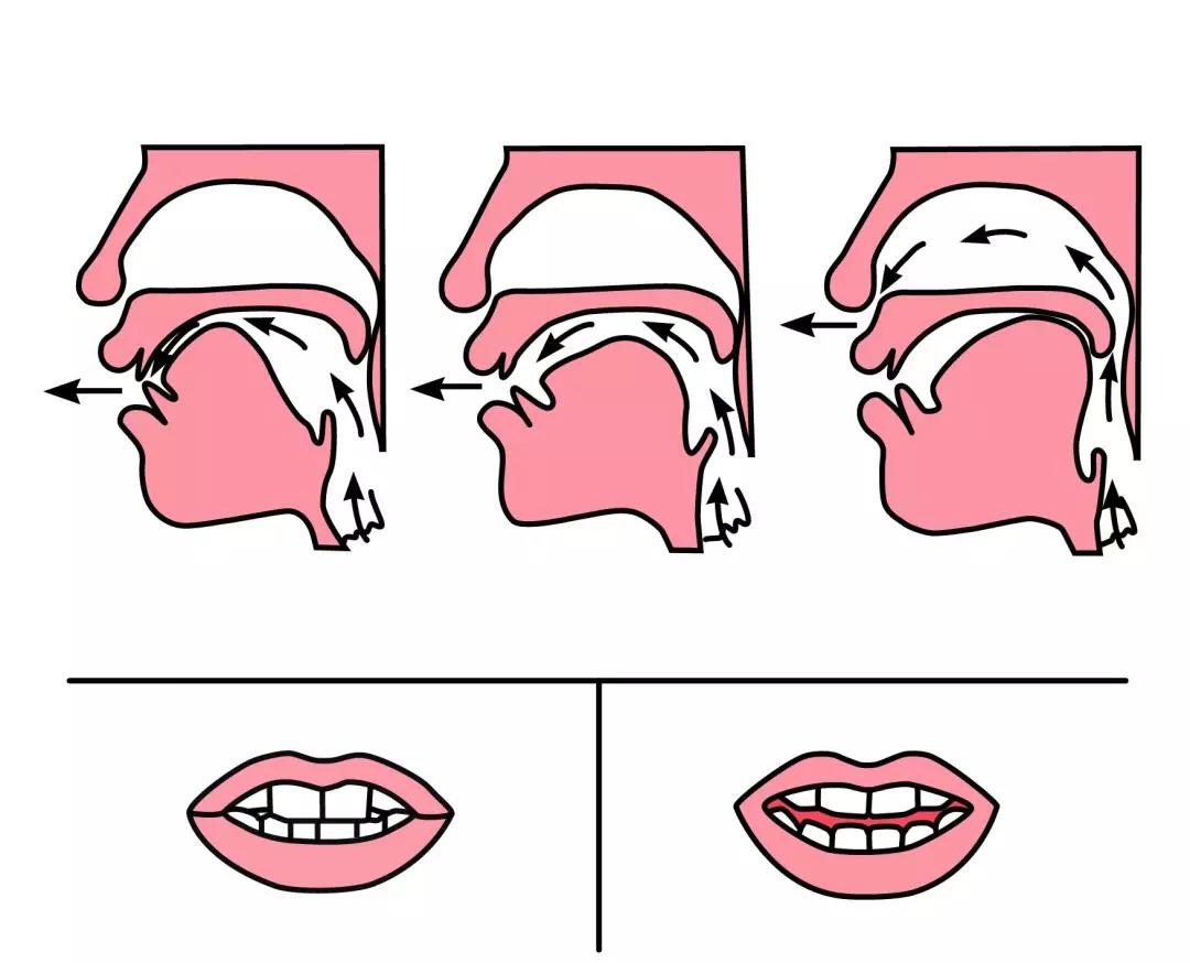 儿童拼音前鼻音和后鼻音发音教程,小学拼音前鼻音后鼻音怎么区分